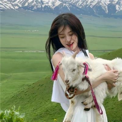铁拳:即刻复仇